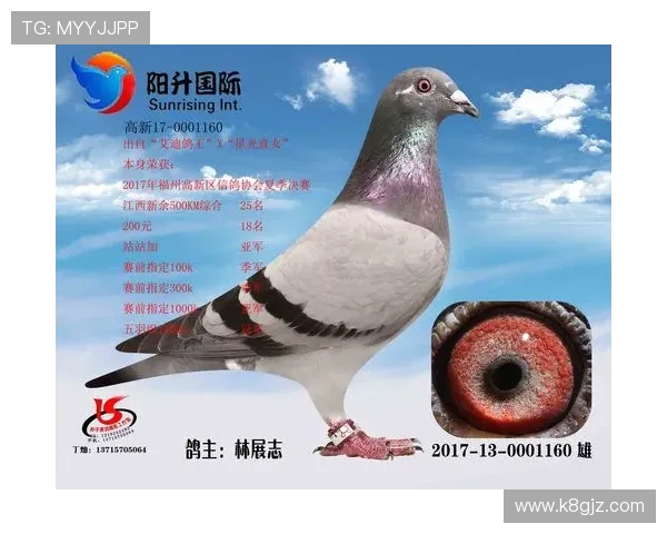 如何在AG国际官网app中快速注册账号，掌握新手必看的注册流程与注意事项